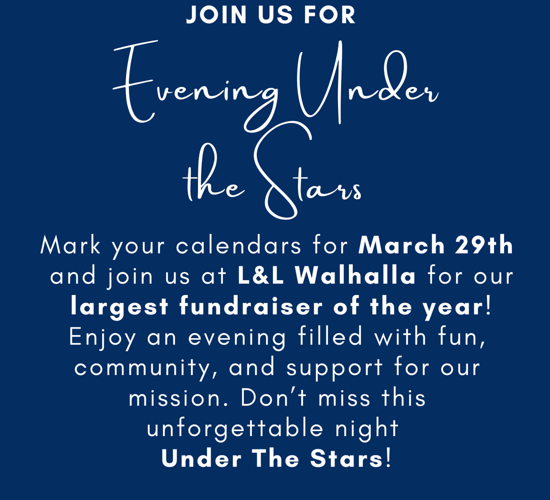 Copy of Copy of Copy of Copy of An Evening Under the Stars Sponsorship Form 2024