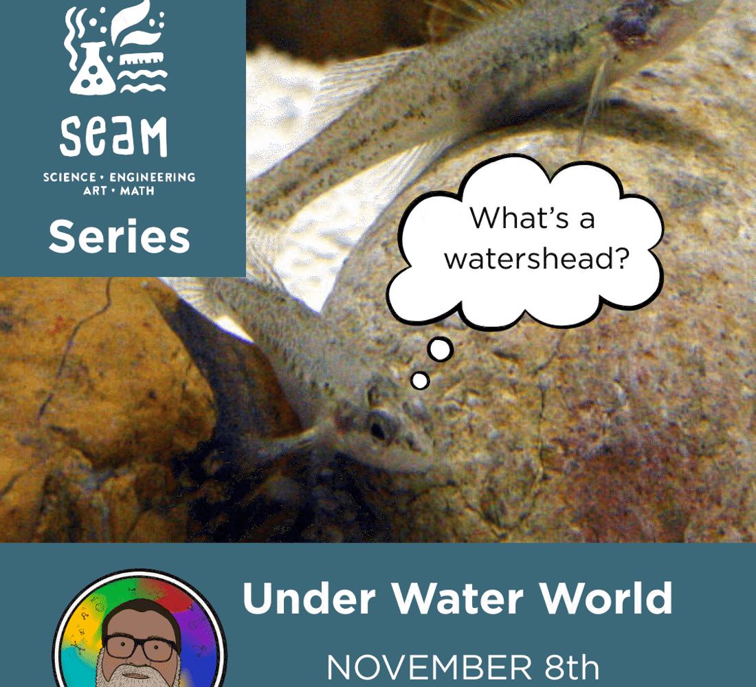 Under water world