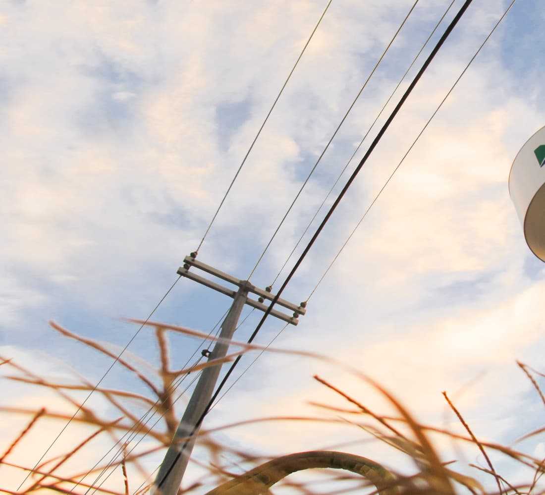 NBU Business Directory Photo acdeb1765056a36 acdeb311 5056 a36a 0b64f554dbe79865